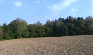 Sprzedam Działkę Budowlaną 11ar Czechowice-Dziedzice Górne