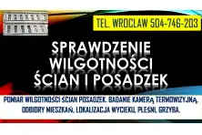Sprawdzenie wilgotności mieszkania, tel. 504-746-203. Wrocław, lokalizacja, wilgoci, pleśni, grzyb na ścianie.